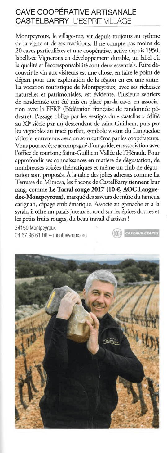 Article Terre de vins Castelbarry